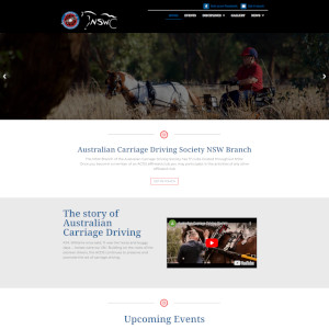Carriage Driving Society NSW - Image thumbnail